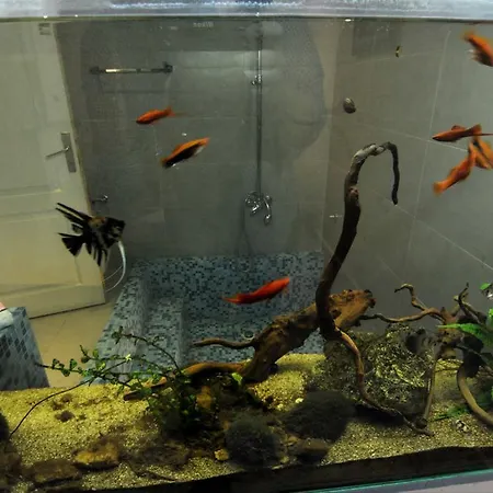 Hostel Jedro Belgrad